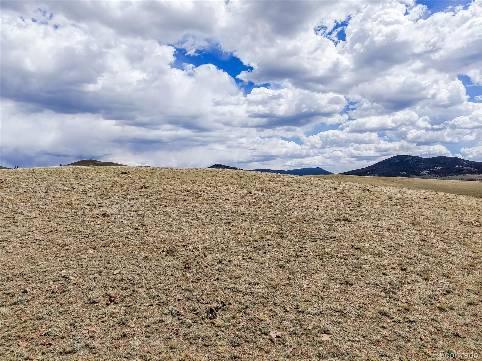 151 Black Beaver Road Hartsel, CO 80449 - Photo 21 of 30
