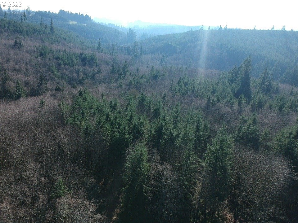 0 Dan Cupp Road St. Helens, OR 97051 - Photo 3 of 9 Gallery Image 3