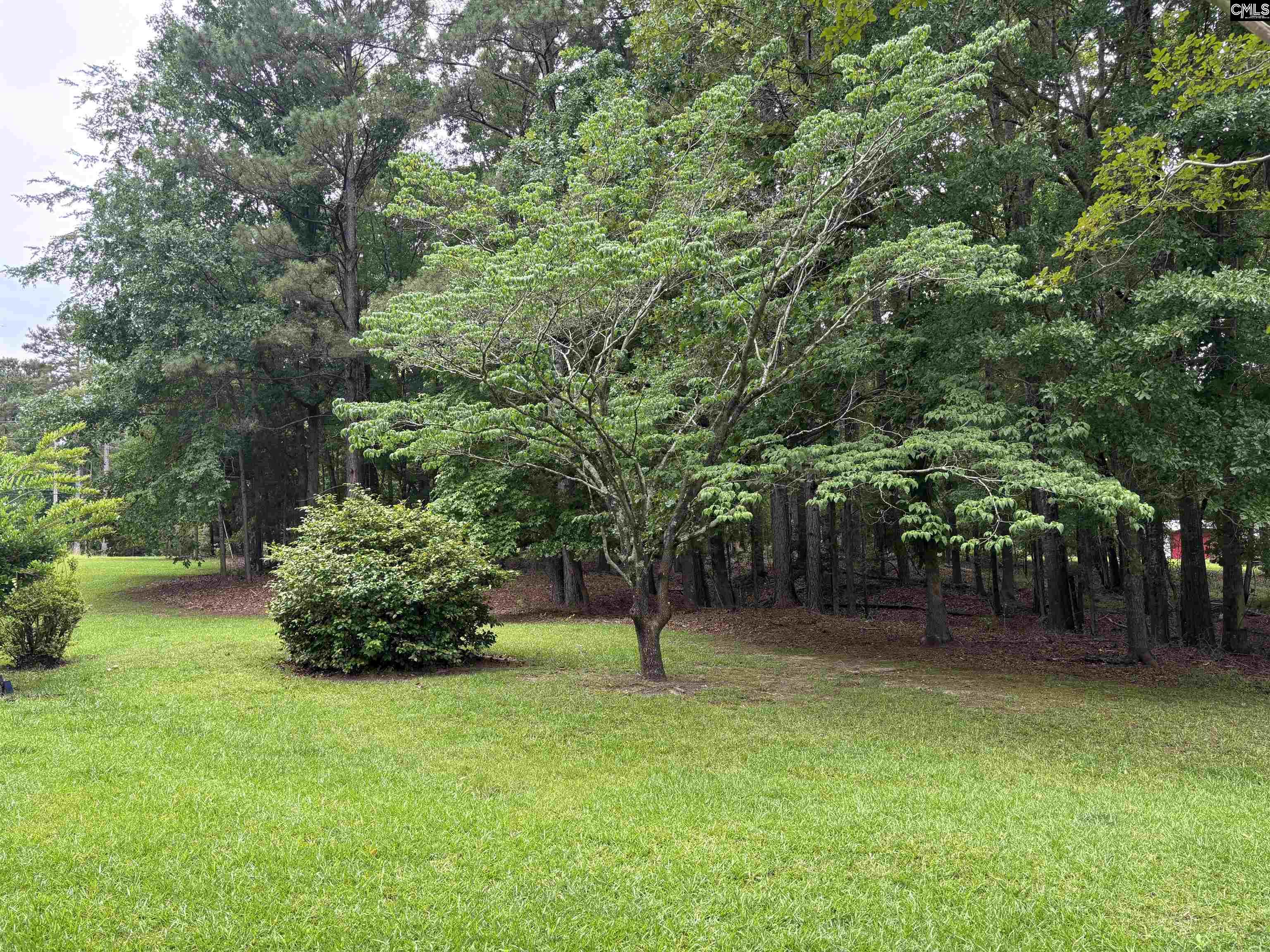858 Pinehurst Road Winnsboro, SC 29180 - Photo 5 of 25