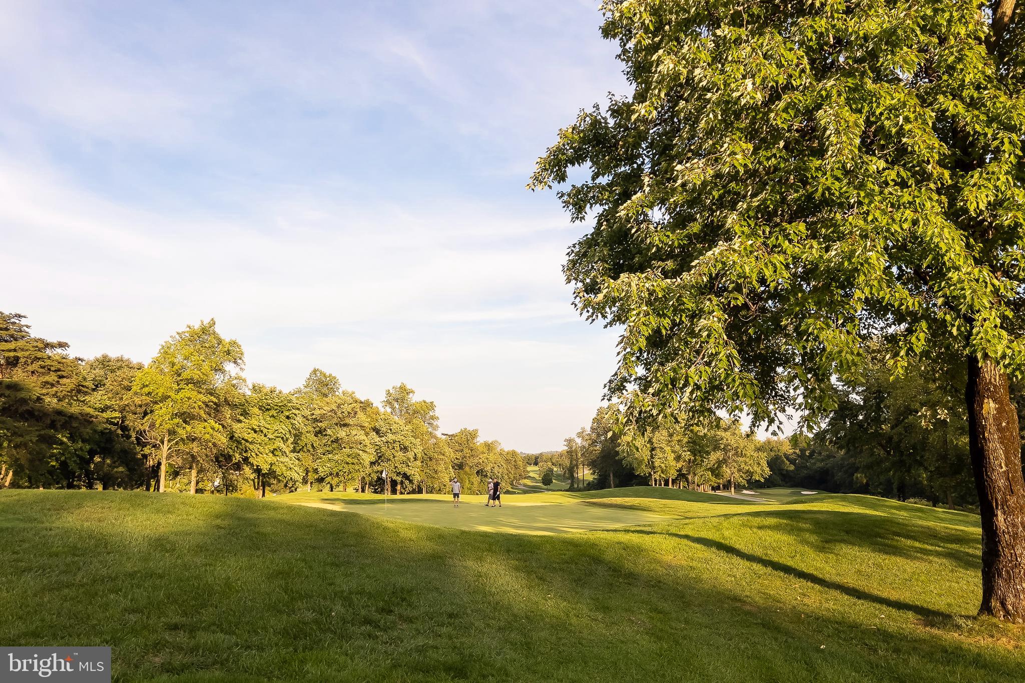 7305 Maplecrest Road, Unit 402 Elkridge, MD 21075 - Photo 54 of 55 Surrounding Golf Course