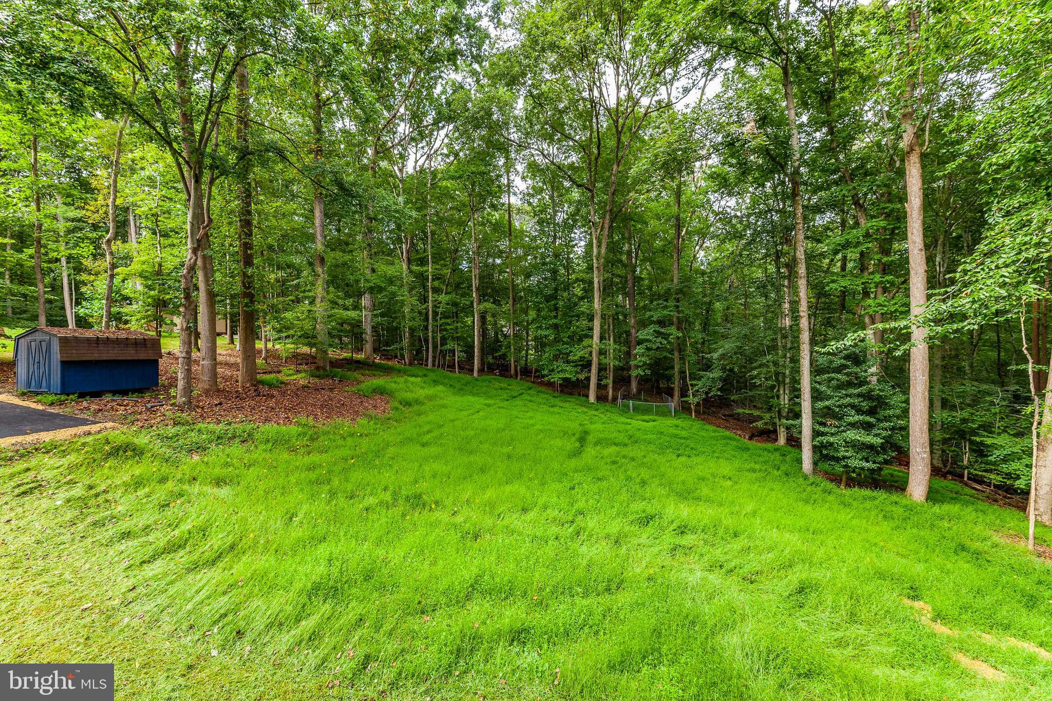 10424 Hampton Road Fairfax Station, VA 22039 - Photo 62 of 62