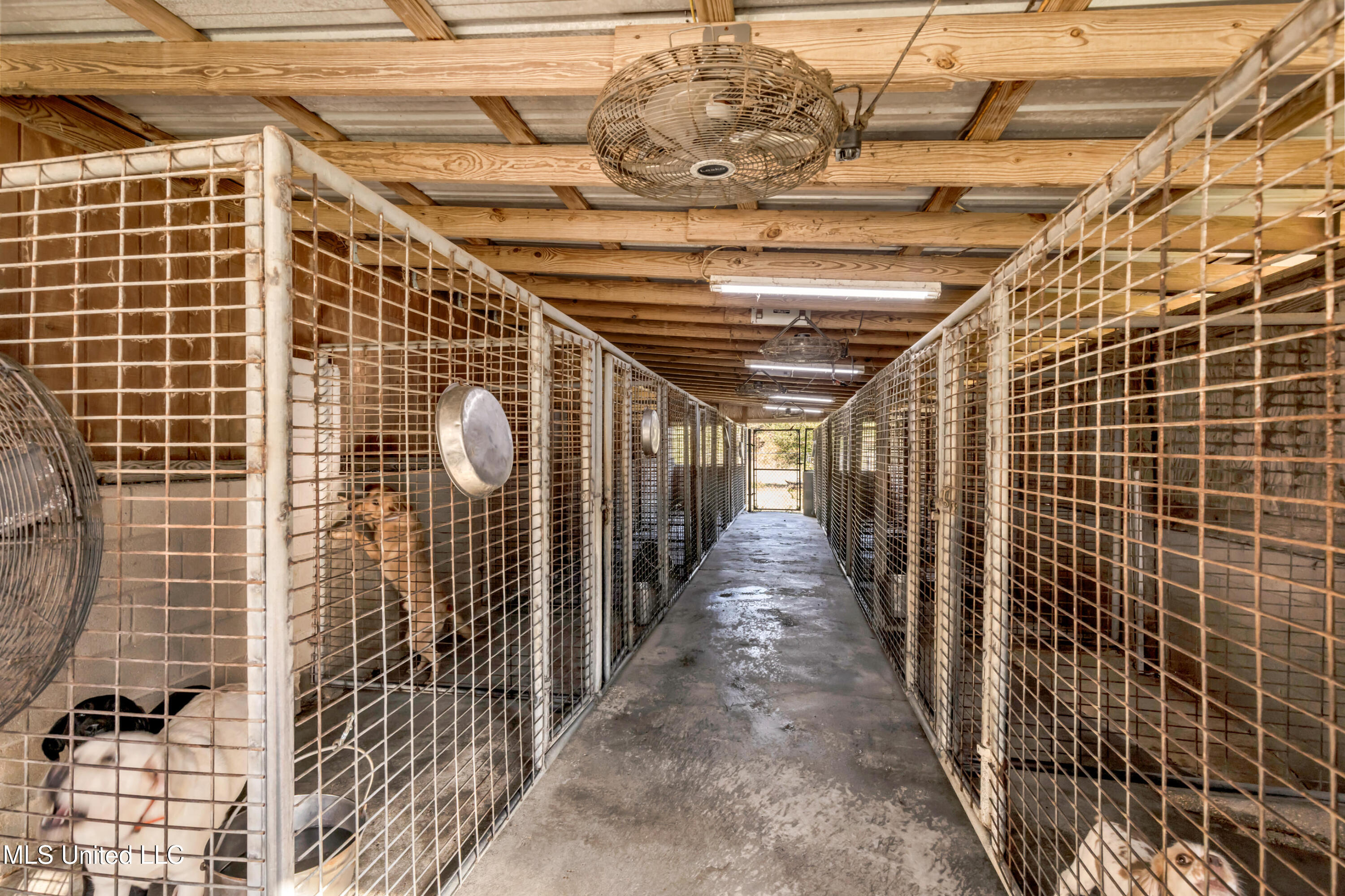 21129 South Fork Road Saucier, MS 39574 - Photo 59 of 65 21129S.ForkRd-74