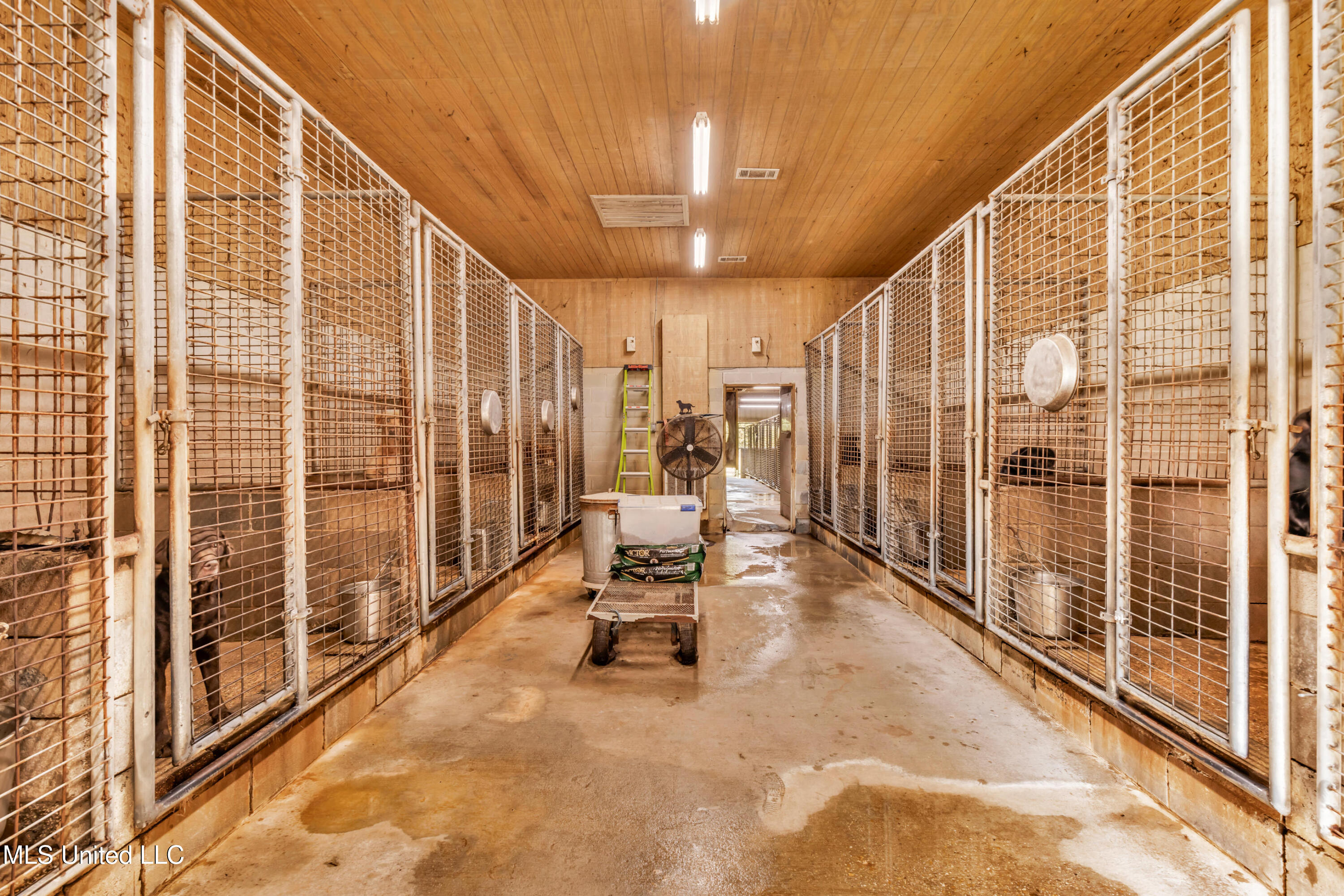 21129 South Fork Road Saucier, MS 39574 - Photo 65 of 65 21129S.ForkRd-68