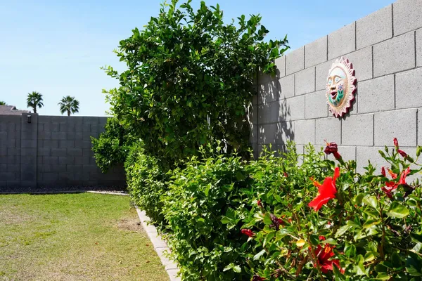 $2,400 | 884 West Whistling Thorn Avenue, Queen Creek, AZ 85140