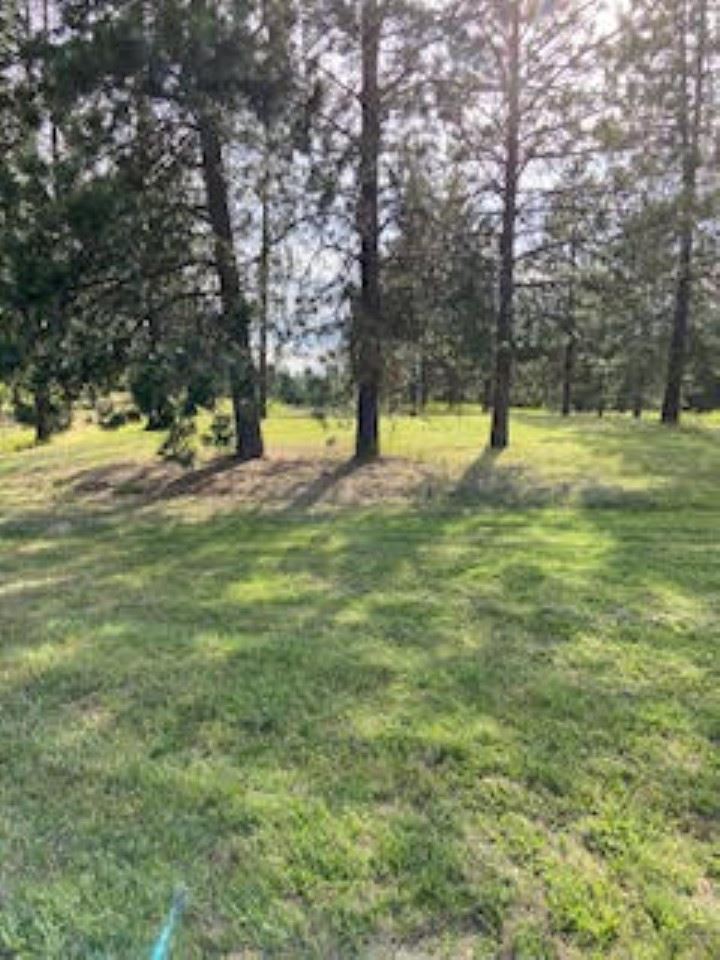 108 South Main Street Springdale, WA 99173 - Photo 19 of 19