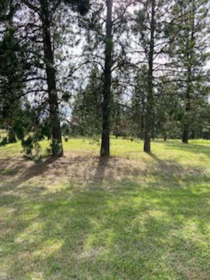 108 South Main Street Springdale, WA 99173 - Photo 2 of 19