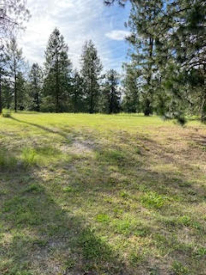 108 South Main Street Springdale, WA 99173 - Photo 8 of 19