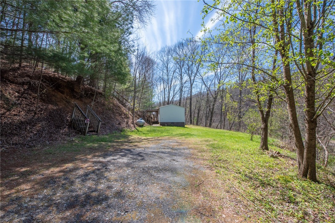 1848 West Mill Creek Road Warrensville, NC 28693 - Photo 9 of 50 a view of a yard with a tree