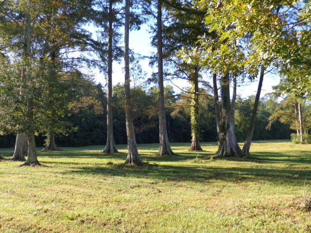 524 Hackberry Street Raceland, LA 70394 - Photo 1 of 5