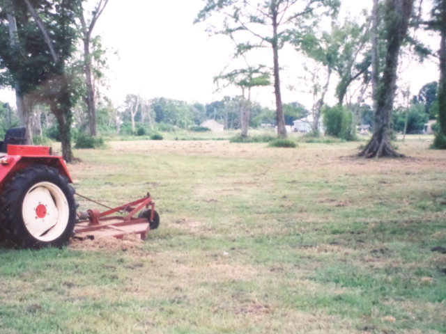 524 Hackberry Street Raceland, LA 70394 - Photo 3 of 5