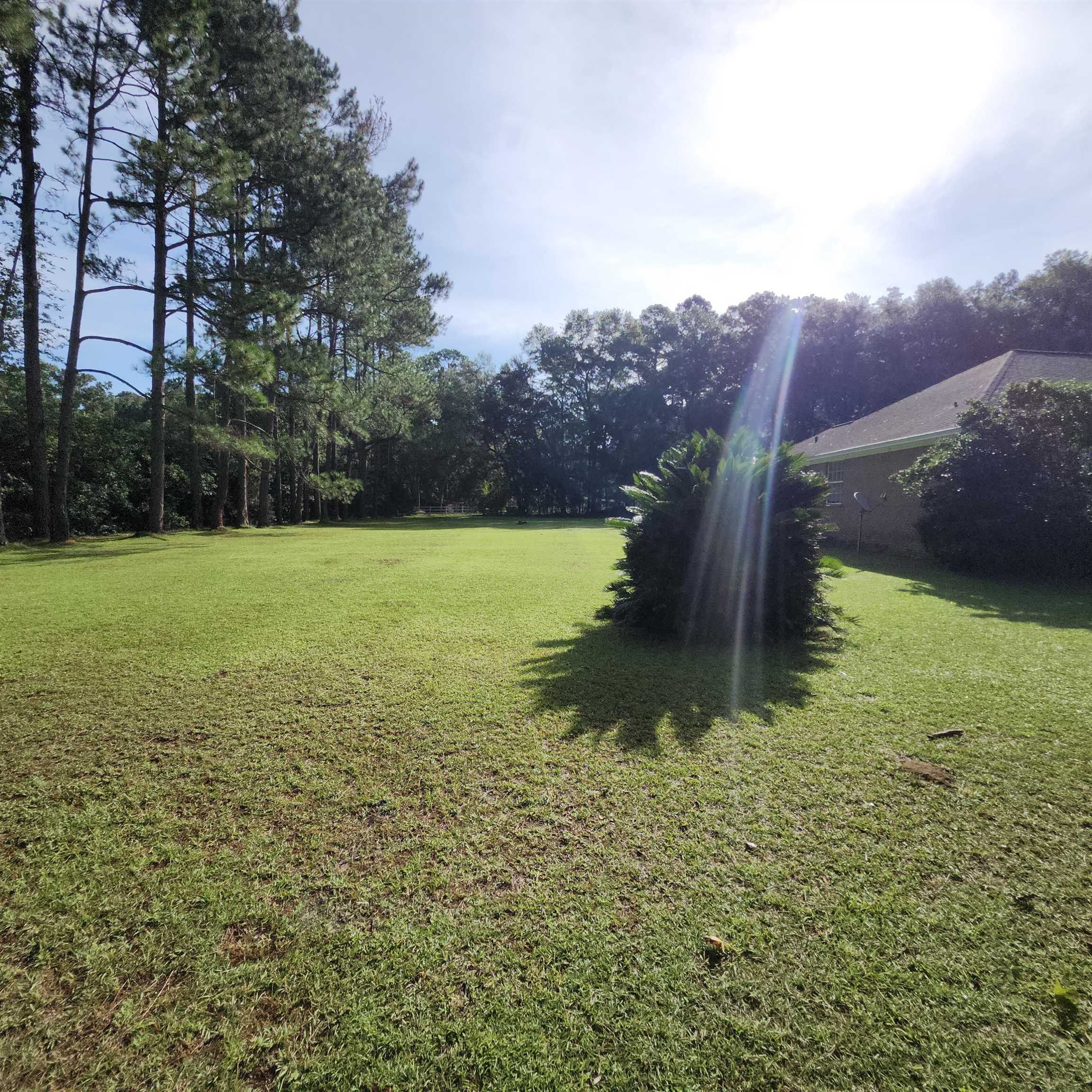 6152 Pickwick Road Tallahassee, FL 32309 - Photo 4 of 11