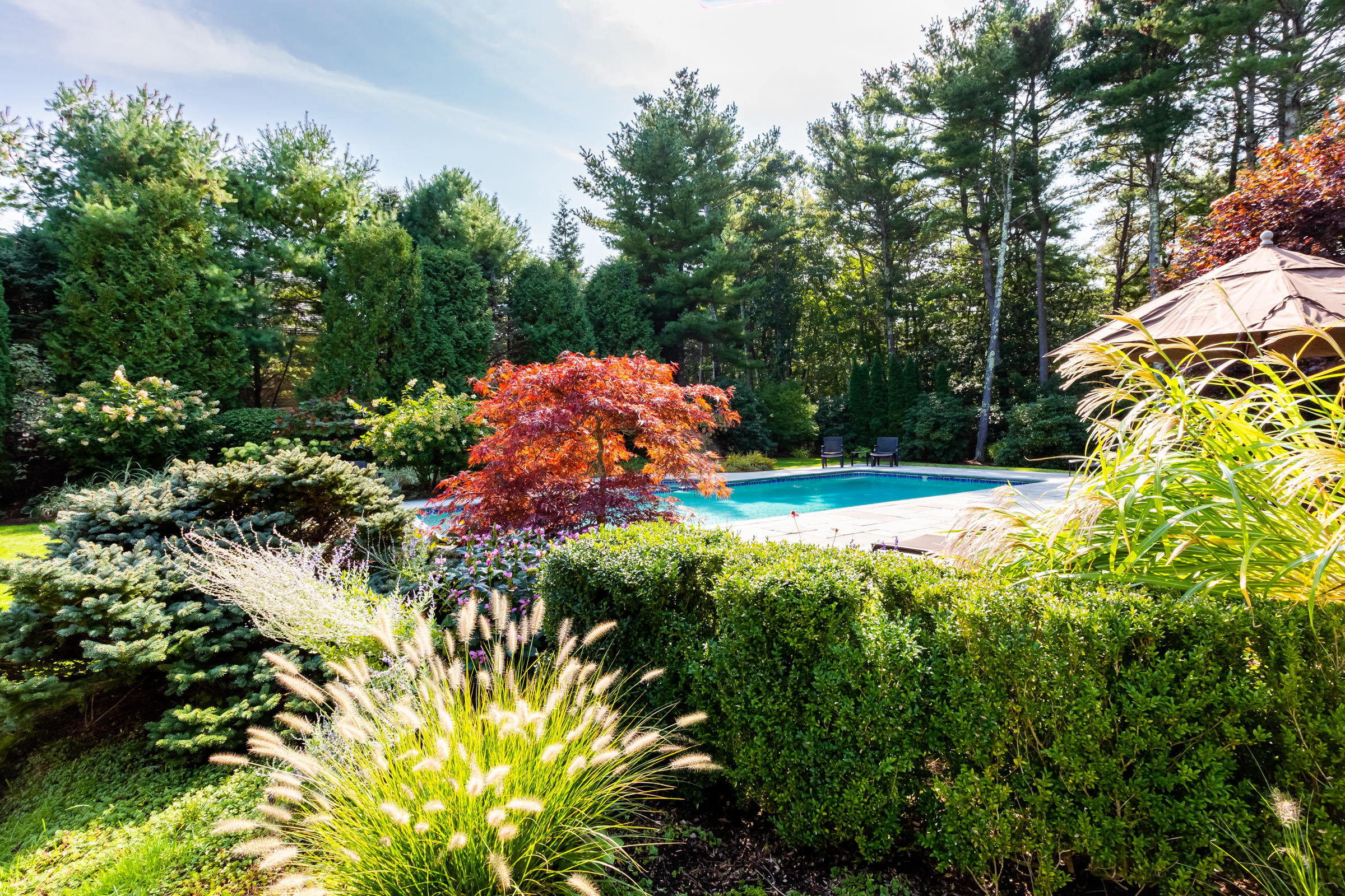 350 Windswept Way Osterville, MA 02655 - Photo 37 of 47 a view of a garden with a tree