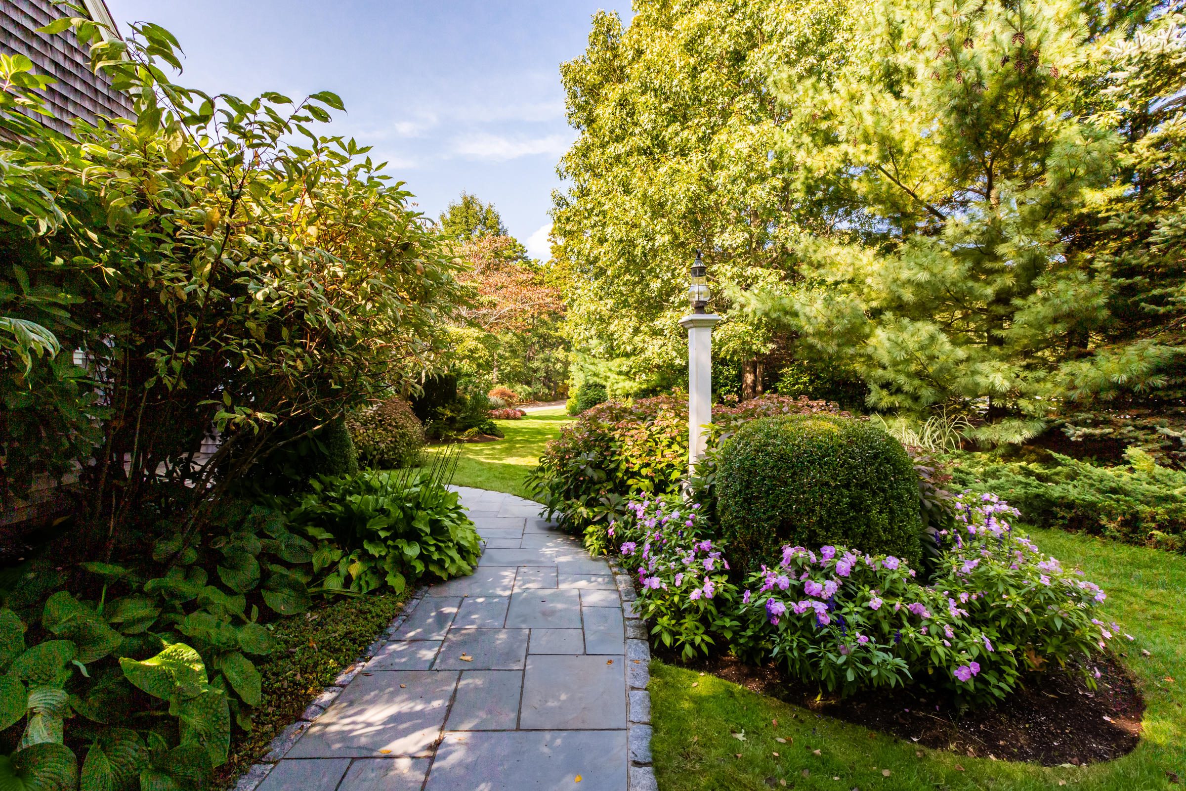 350 Windswept Way Osterville, MA 02655 - Photo 41 of 47 a view of a garden with flowers