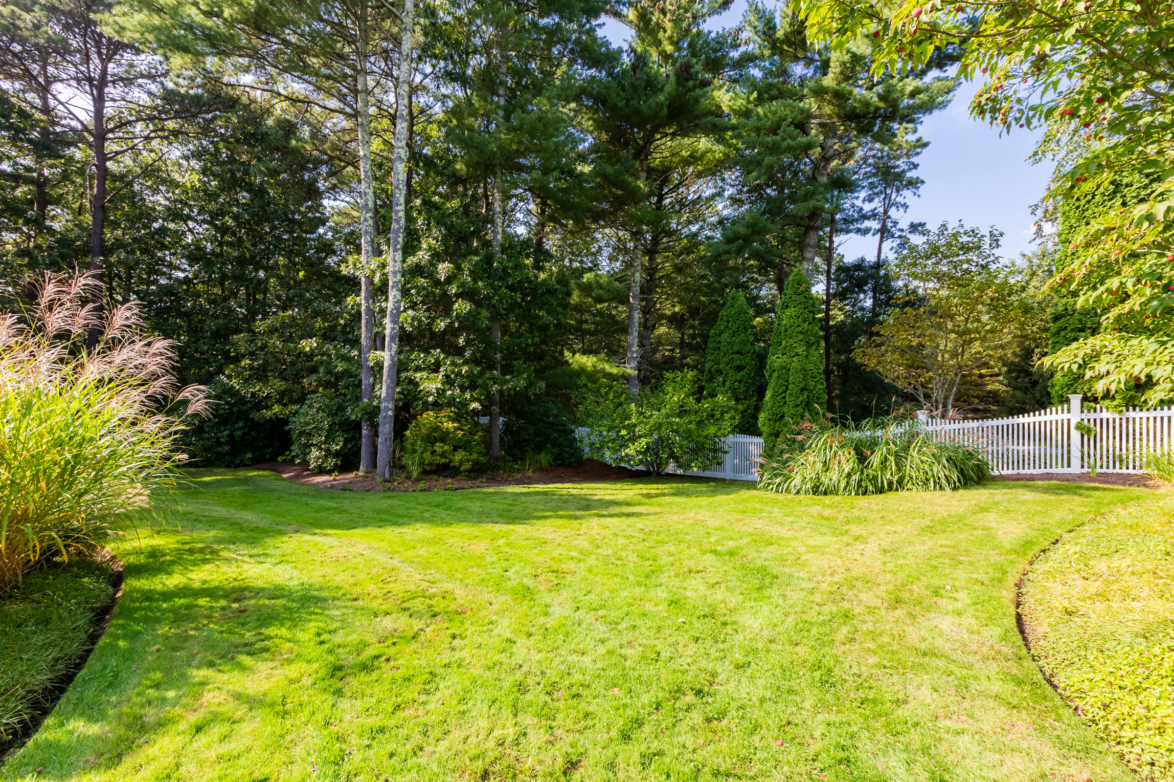 350 Windswept Way Osterville, MA 02655 - Photo 44 of 47 a view of a swimming pool with a big yard and large trees