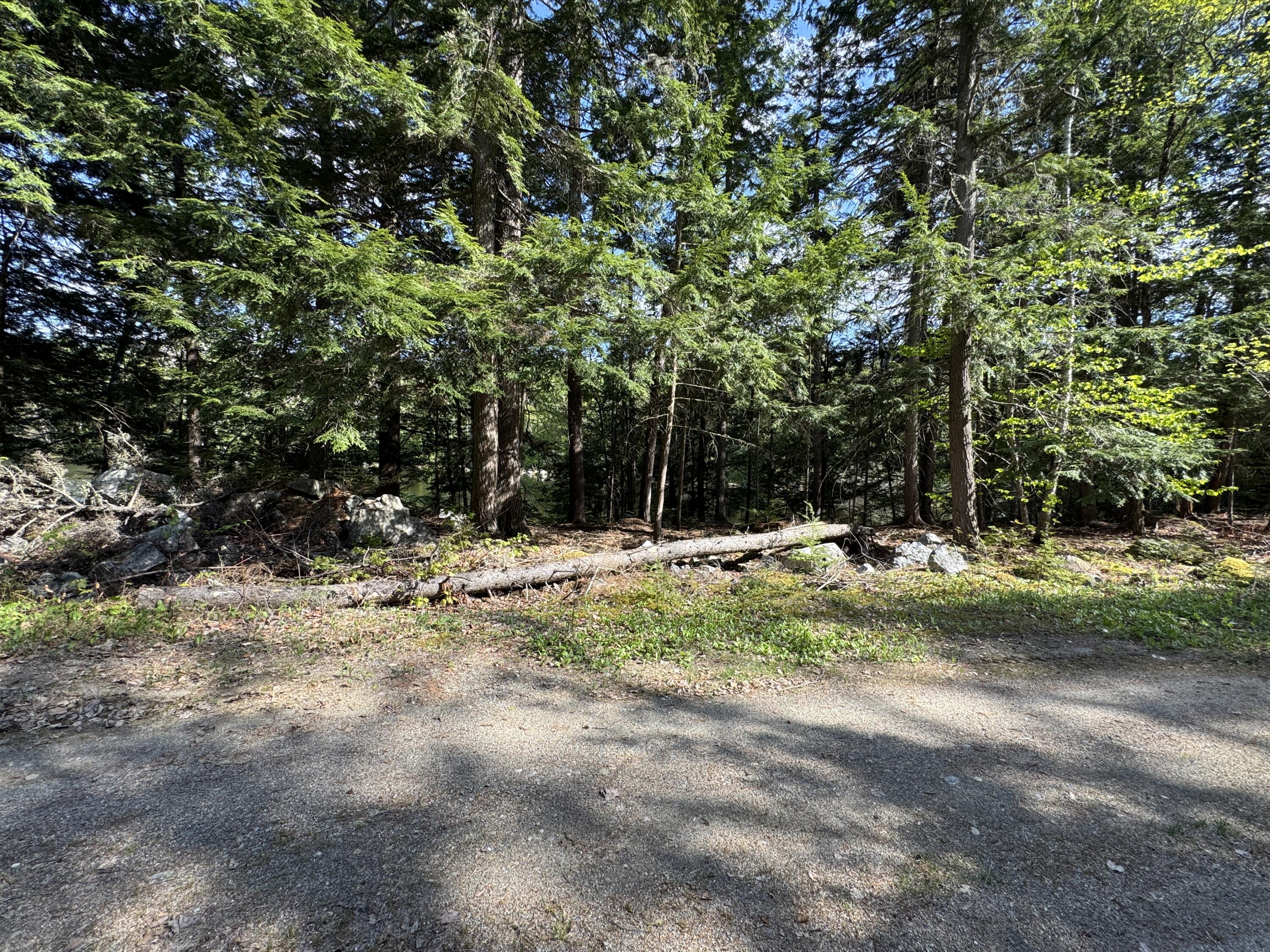 0 Elbow Lake Road Millinocket, ME 04462 - Photo 26 of 33 IMG_0428