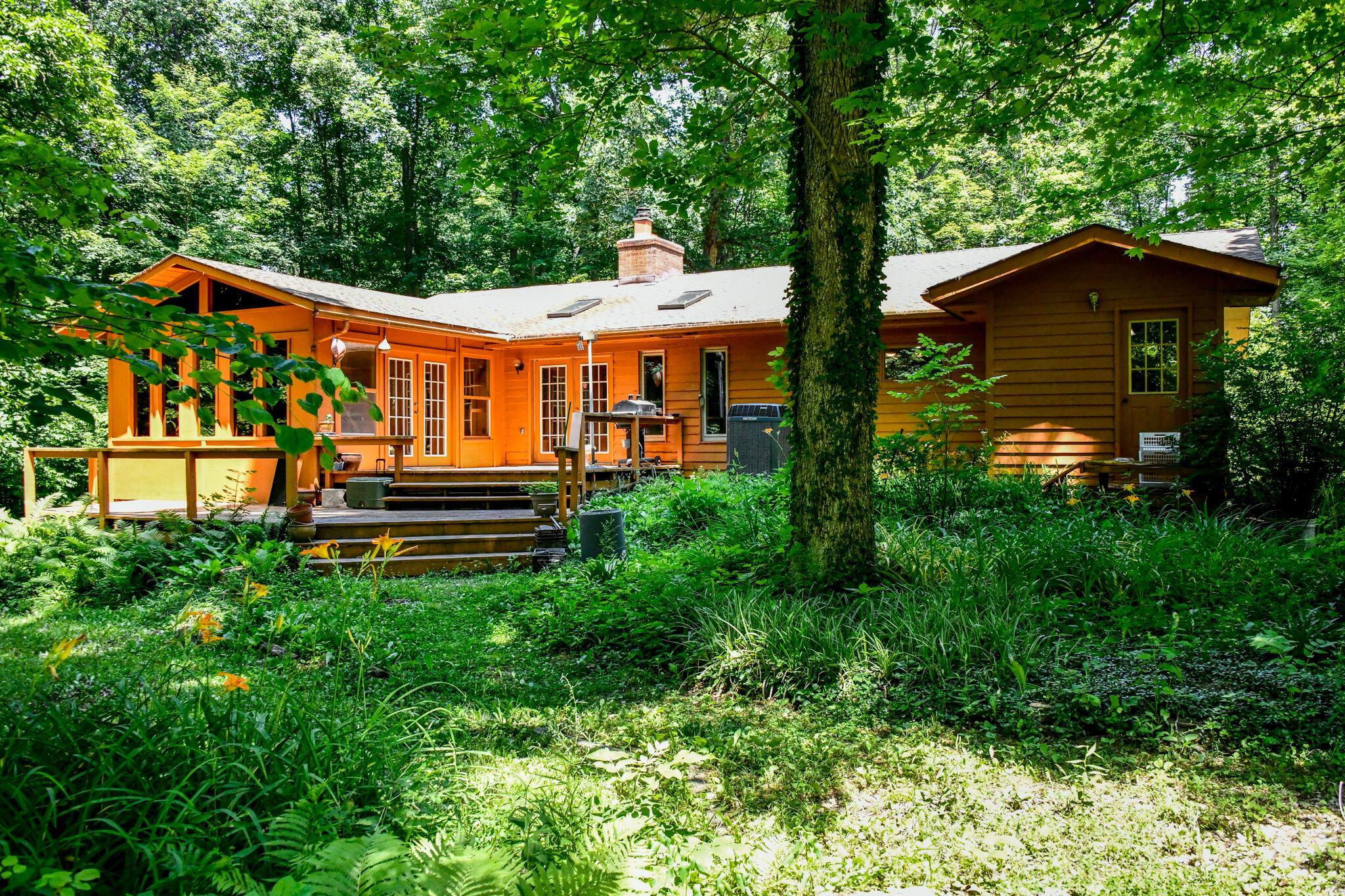 5+ Acres of Woods