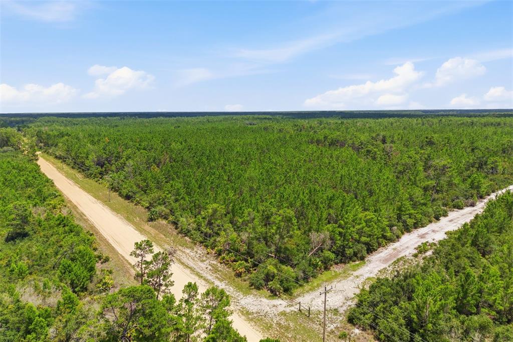 70 Maggie Jones Road Eustis, FL 32736 - Photo 5 of 10