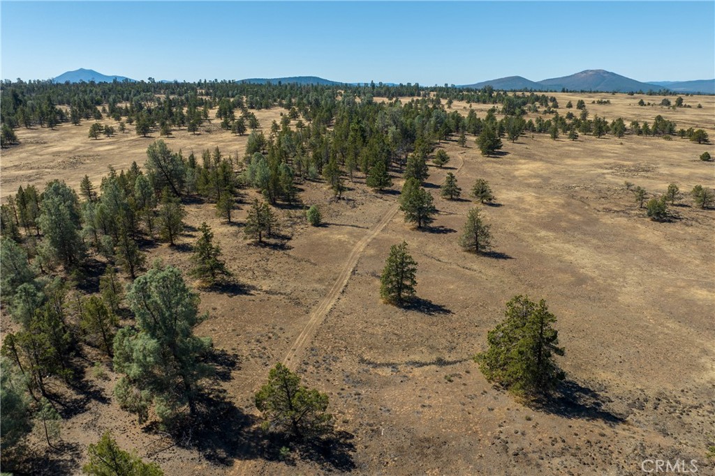 0 Old Highway Road Road McArthur, CA 96056 - Photo 6 of 14 a view of lake view and mountain view