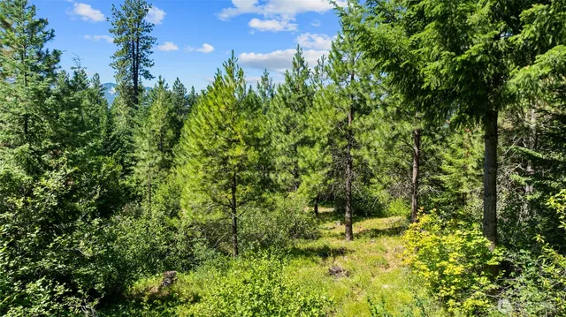 $510,000 | 3690 Swiftwater Drive, Ronald, WA 98940