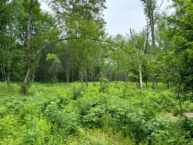 $49,900 | 96 West Washington Road, Washington, ME 04574