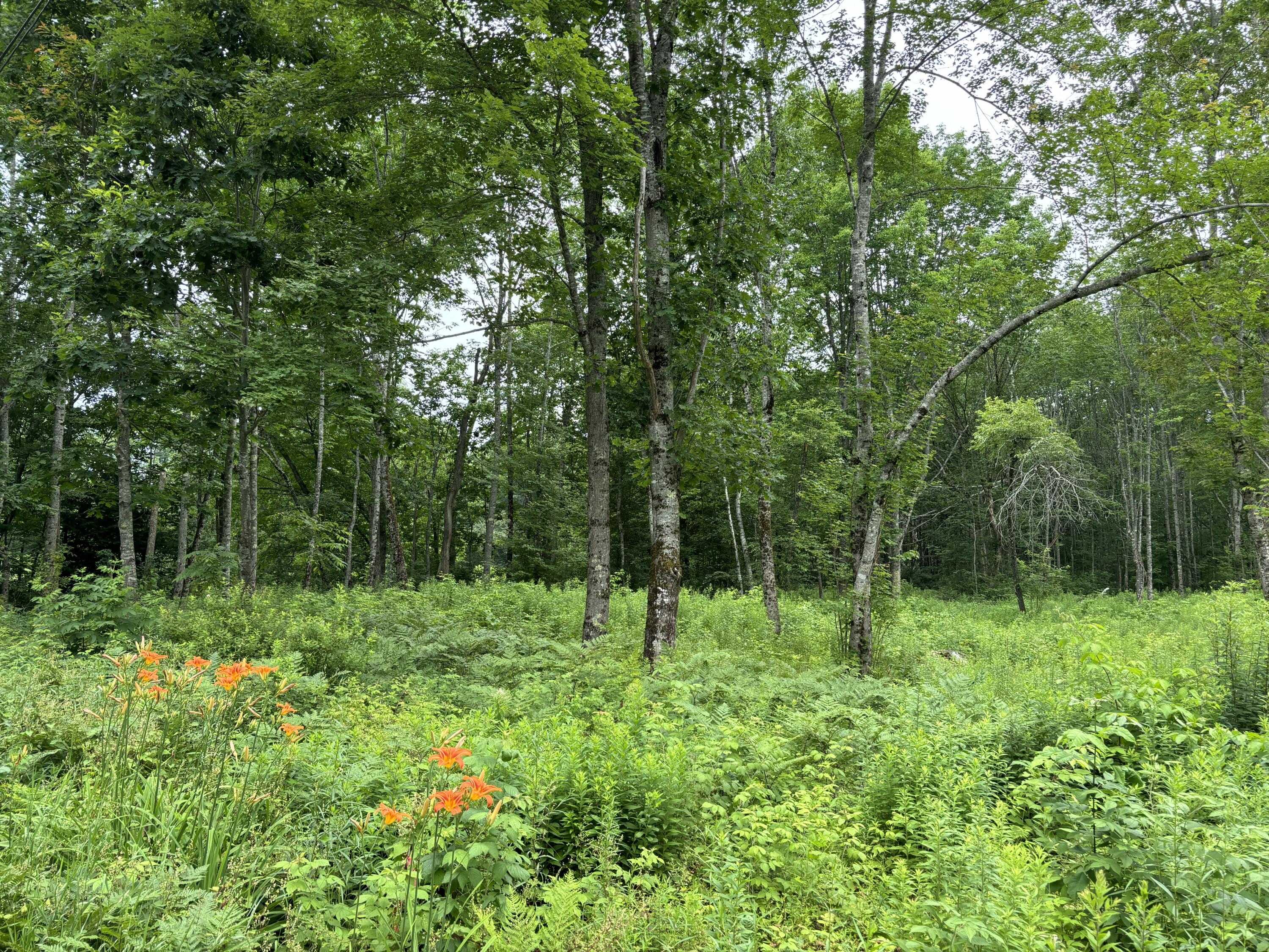 96 West Washington Road Washington, ME 04574 - Photo 2 of 10 IMG_1985