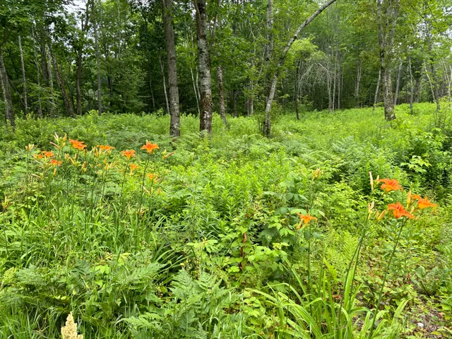 $49,900 | 96 West Washington Road, Washington, ME 04574