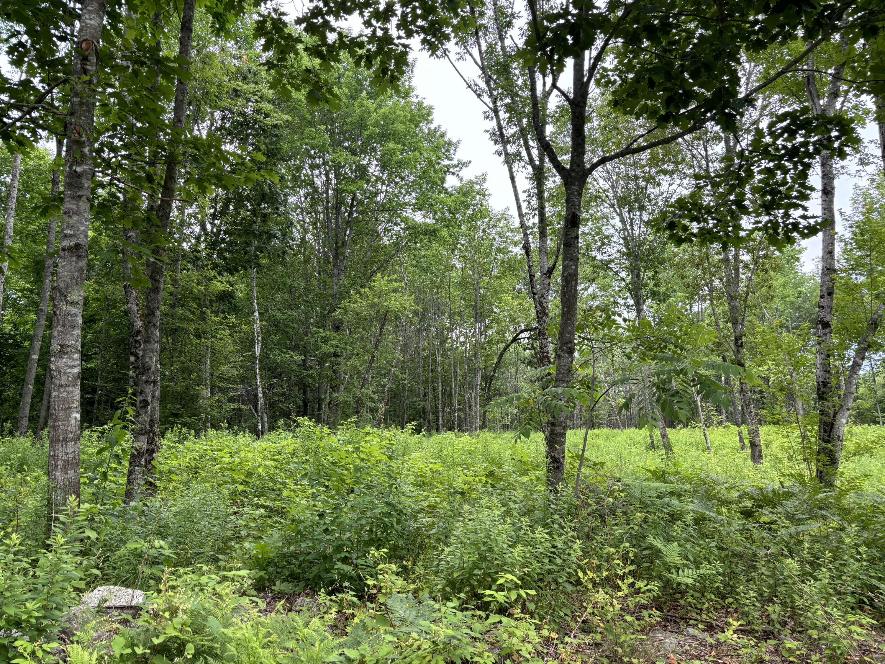 96 West Washington Road Washington, ME 04574 - Photo 4 of 10 IMG_1991