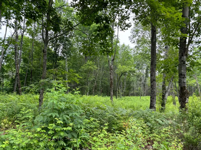 $49,900 | 96 West Washington Road, Washington, ME 04574