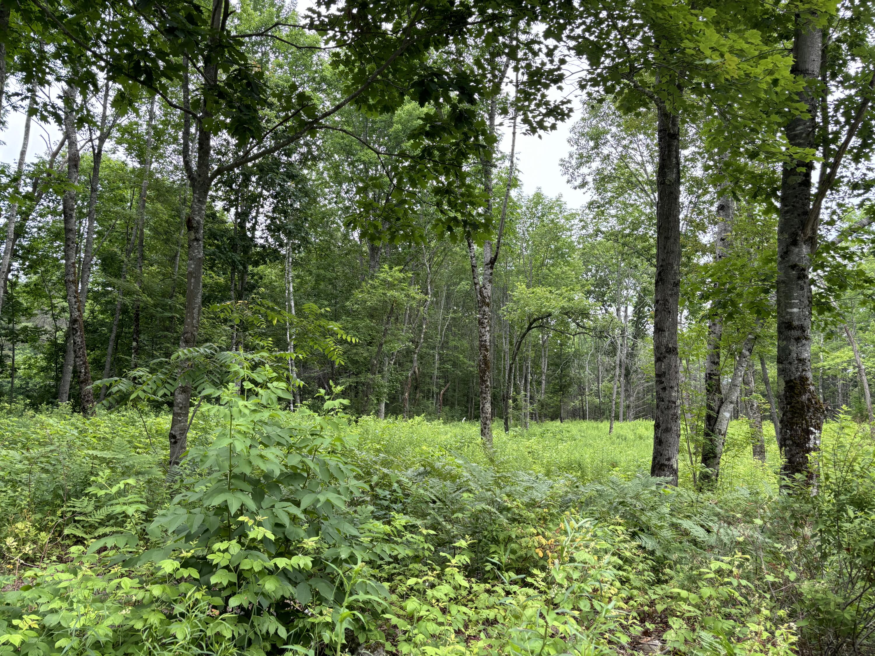 96 West Washington Road Washington, ME 04574 - Photo 5 of 10 IMG_1989