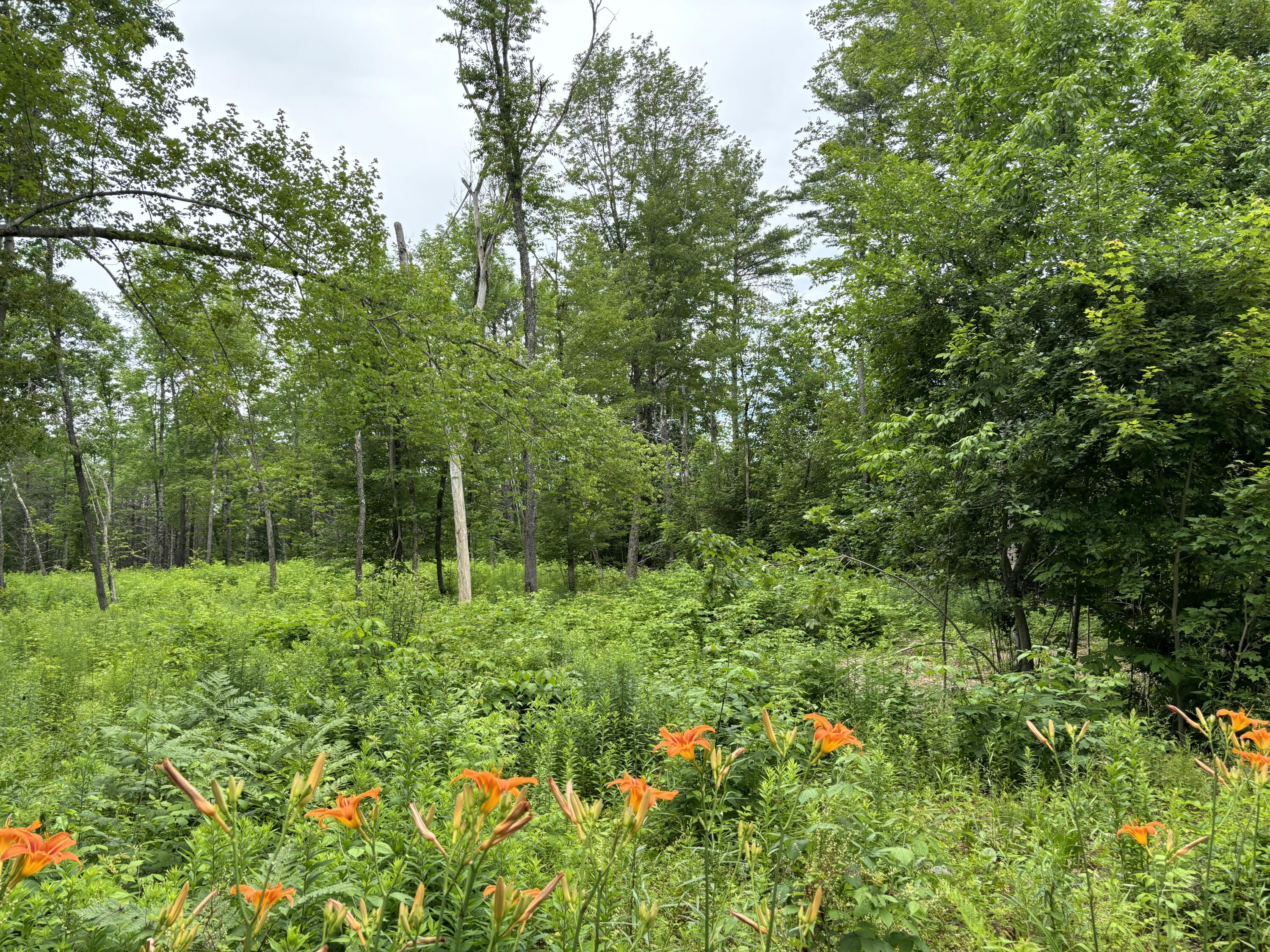 96 West Washington Road Washington, ME 04574 - Photo 6 of 10 IMG_1987