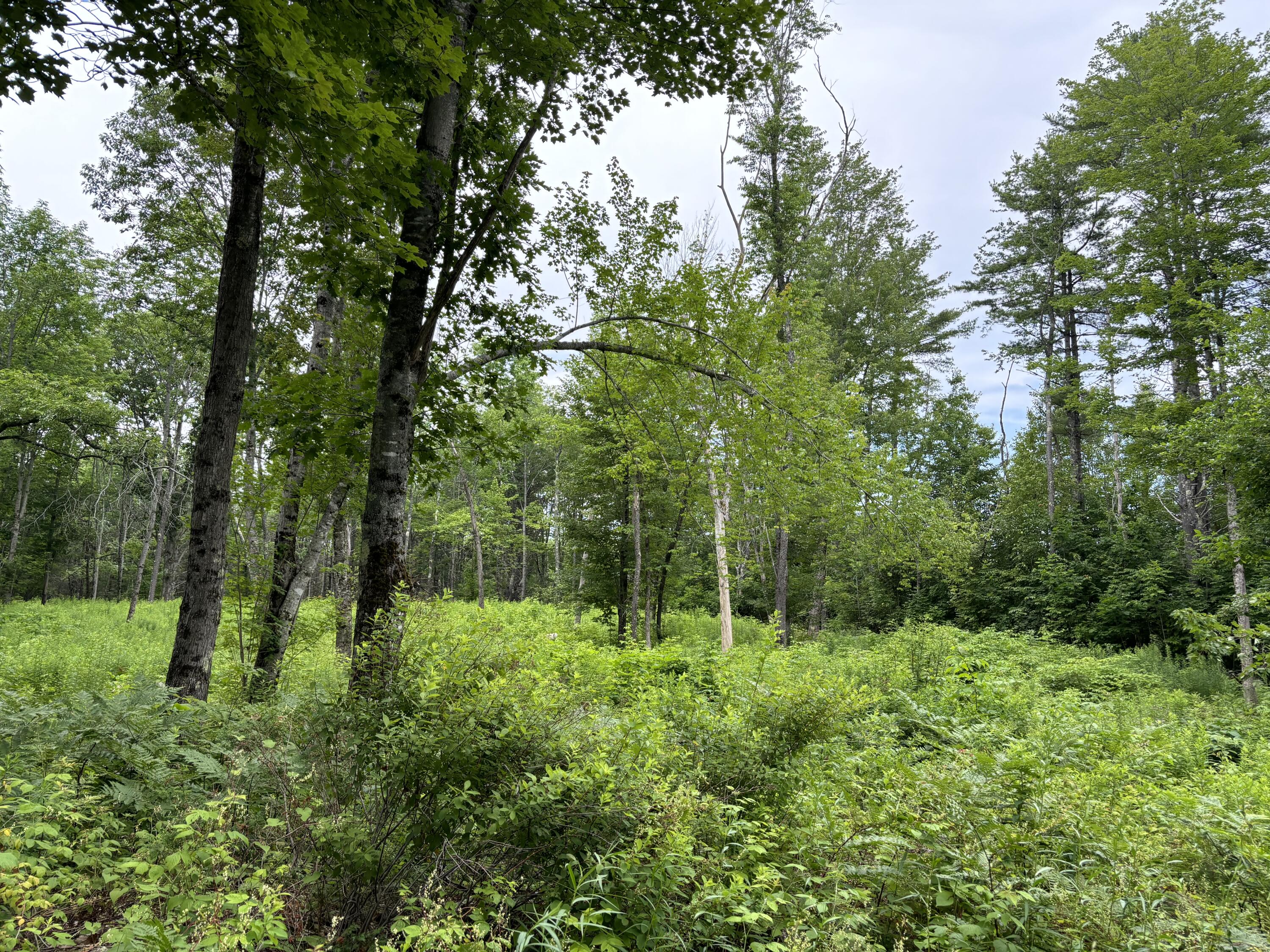 96 West Washington Road Washington, ME 04574 - Photo 7 of 10 IMG_1990