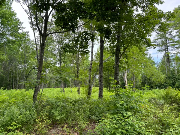 $49,900 | 96 West Washington Road, Washington, ME 04574