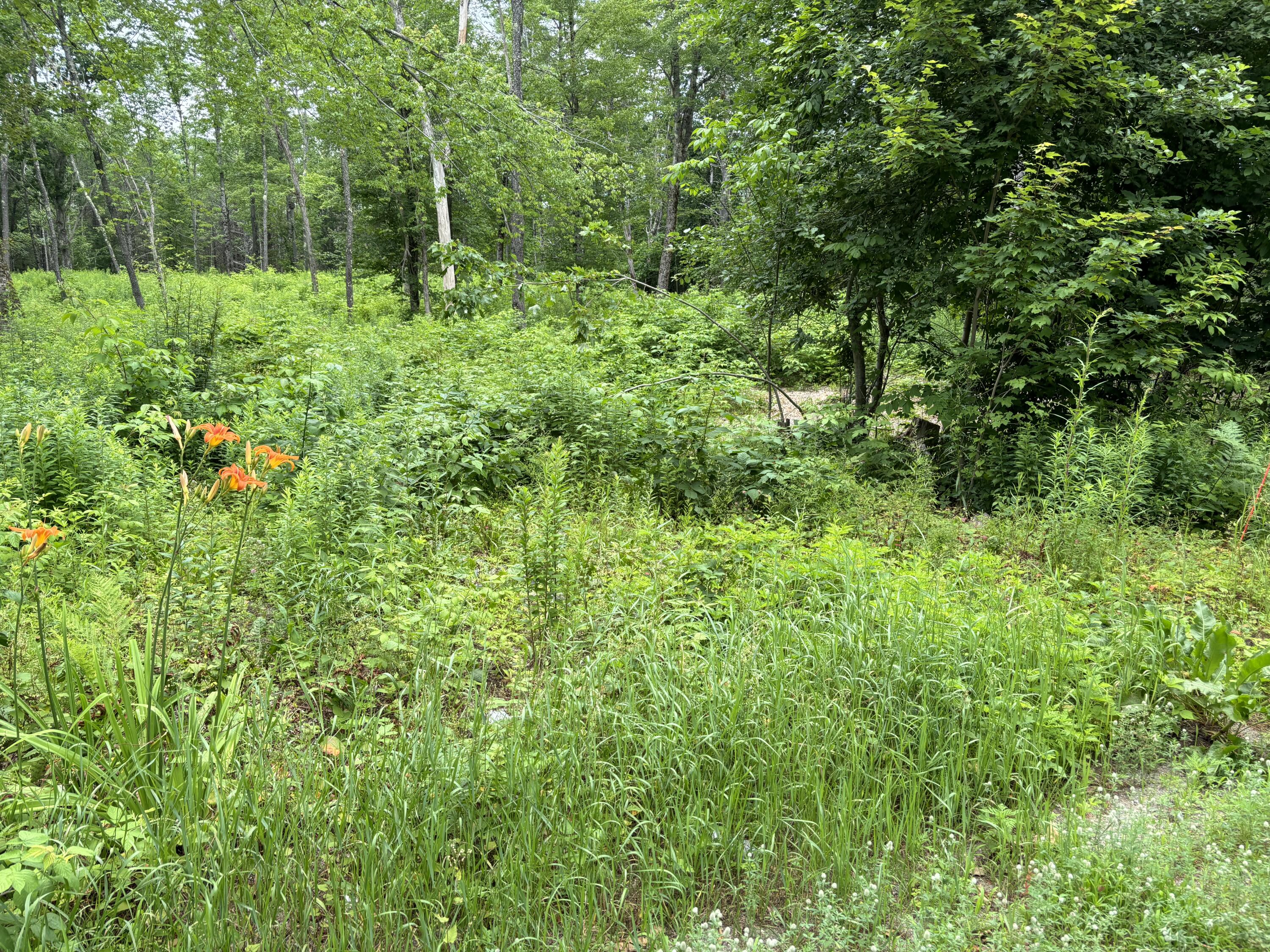 96 West Washington Road Washington, ME 04574 - Photo 9 of 10 IMG_1983