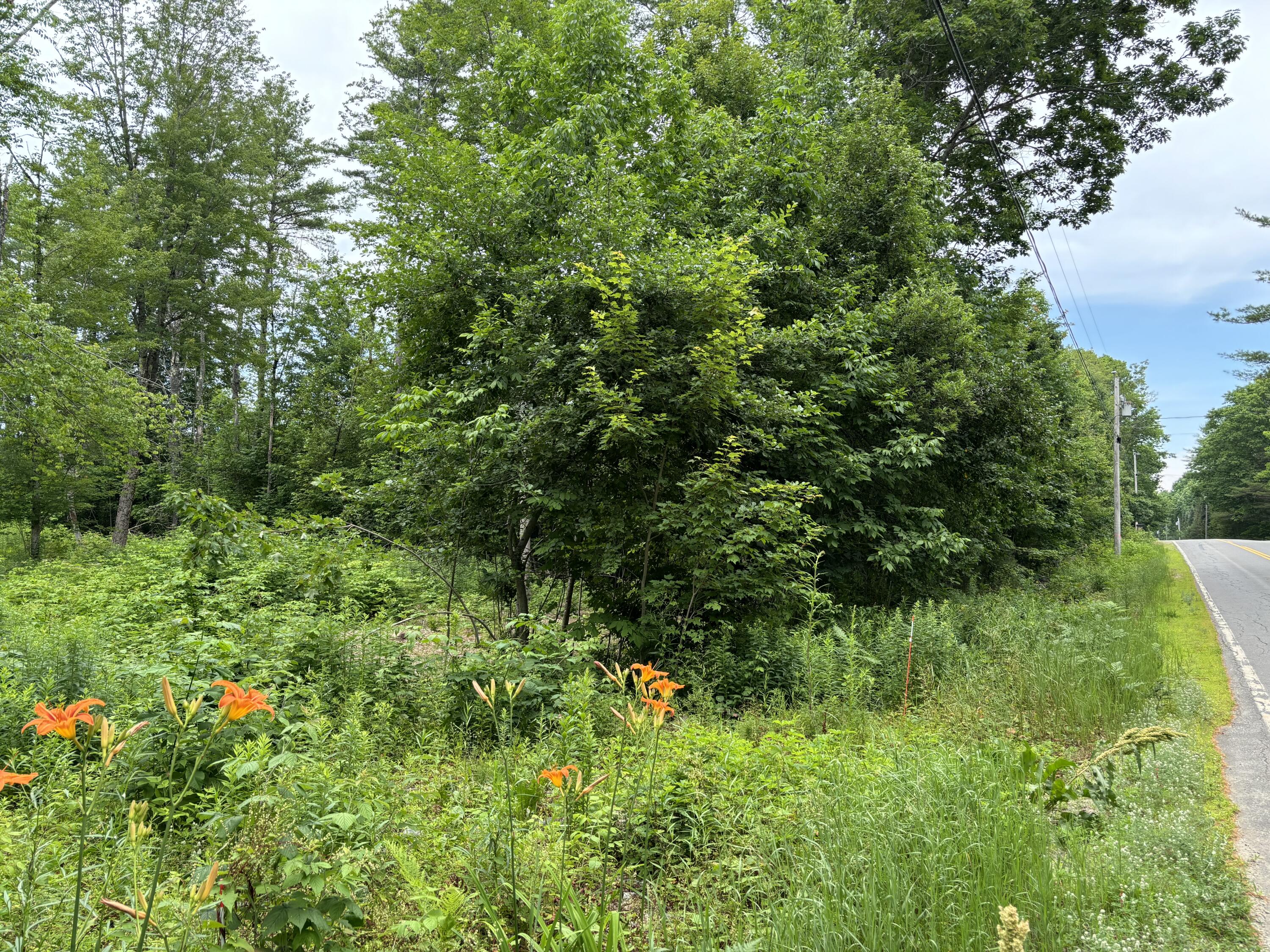 96 West Washington Road Washington, ME 04574 - Photo 10 of 10 IMG_1988