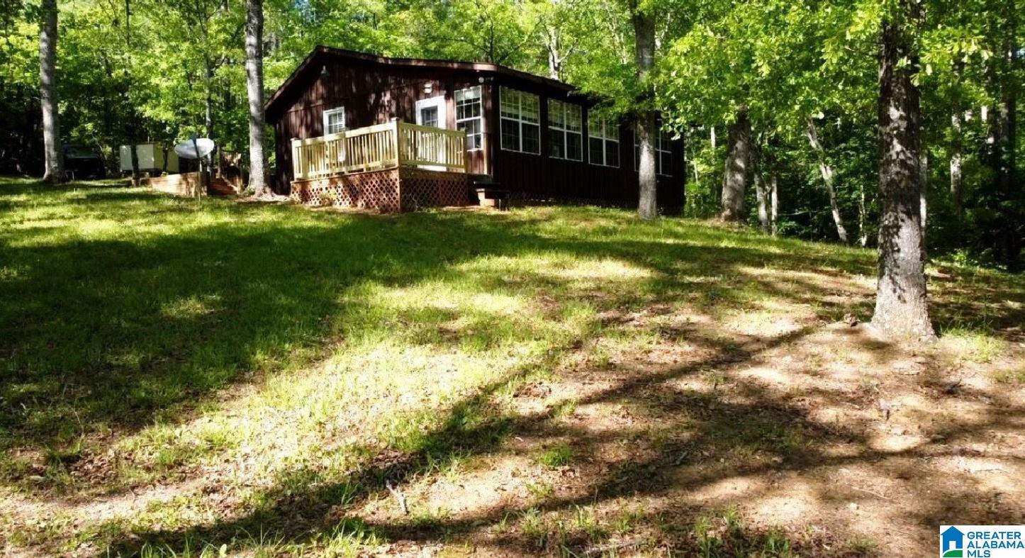 244 County Road 2011 Delta, AL 36258 - Photo 1 of 29
