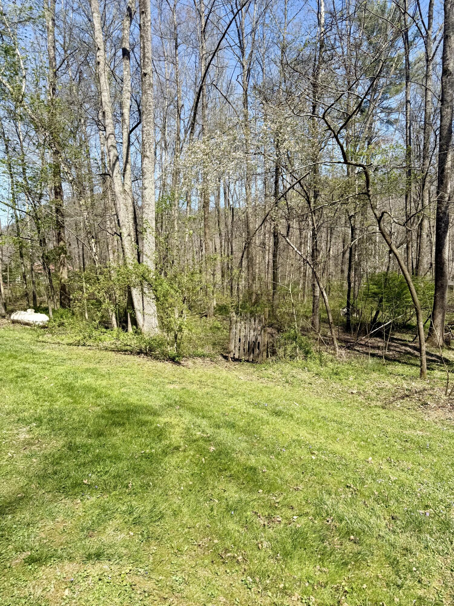 9851 Cranston Road Morehead, KY 40351 - Photo 29 of 52 IMG_9259