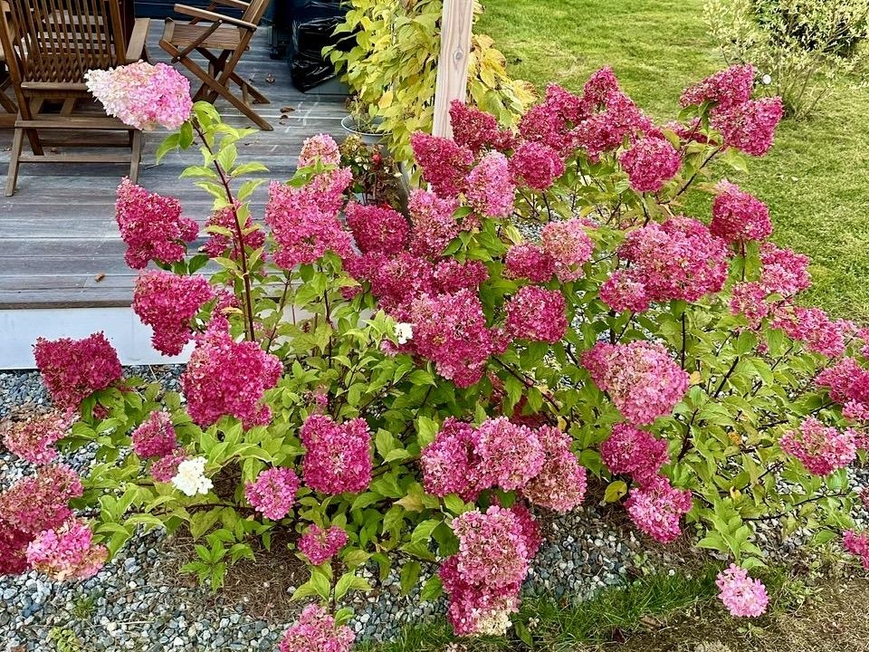 252 Redfield Road Barton, VT 05822 - Photo 20 of 21 Gallery Image 20
