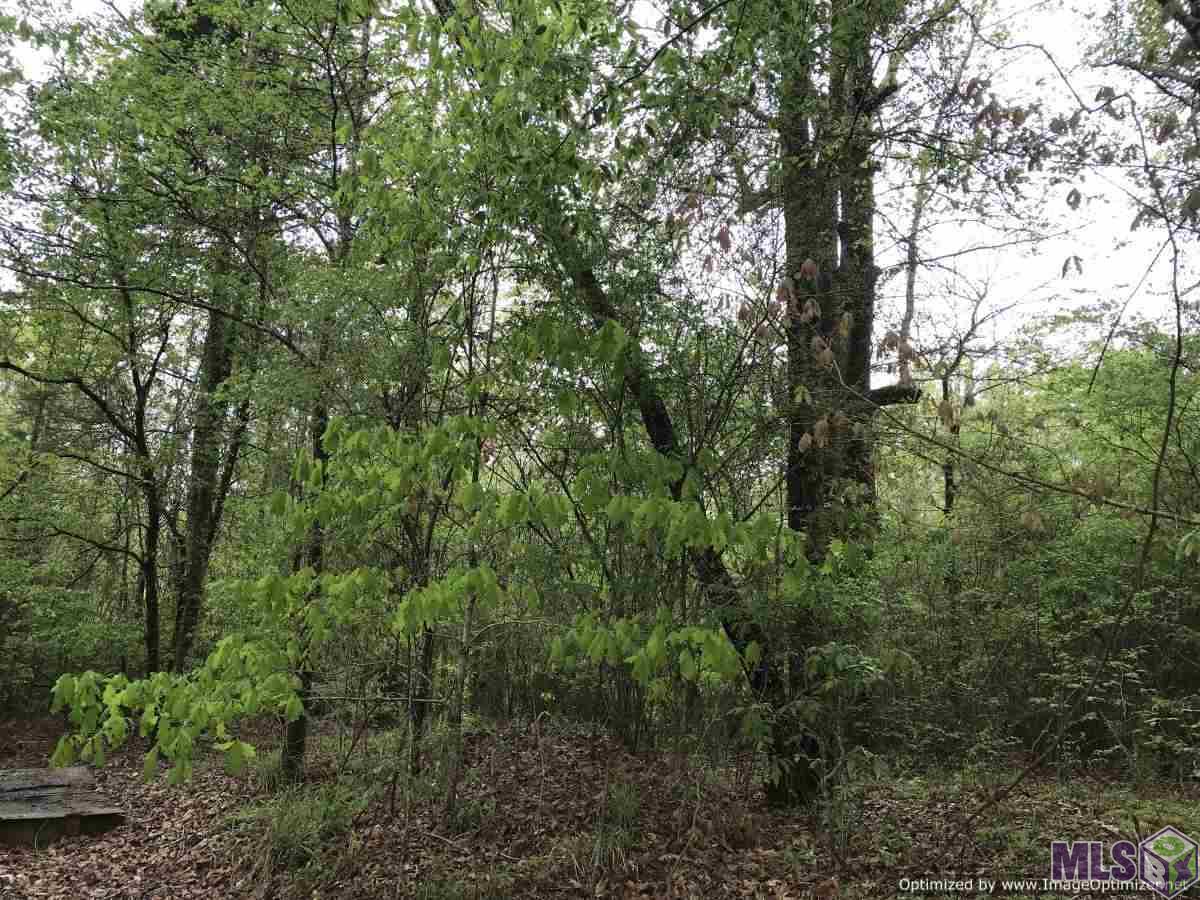7450 B Gloster Road Meadville, MS 39653 - Photo 8 of 10