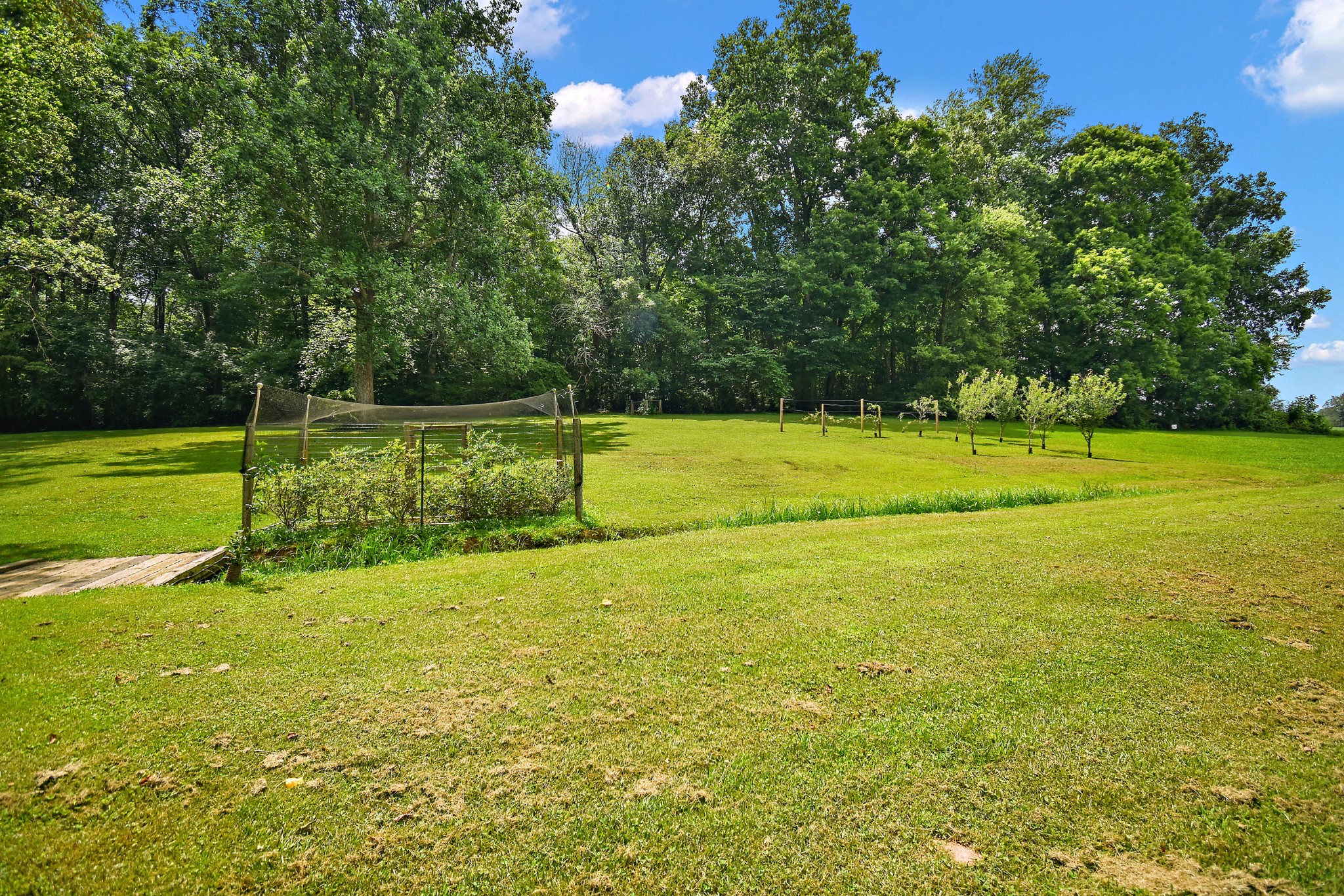 124 Amy Road Hillsboro, TN 37342 - Photo 47 of 56