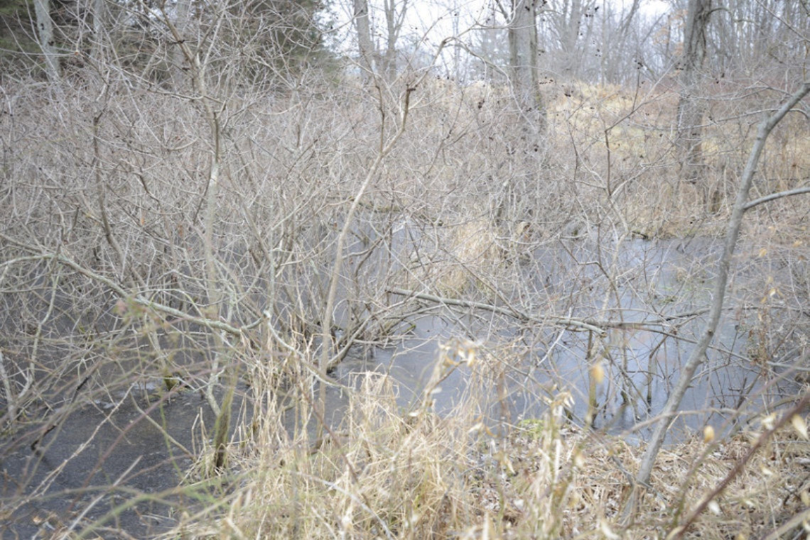 0 Junction Road Marshall, MI 49068 - Photo 9 of 20 Junction Rd Bellevue -23