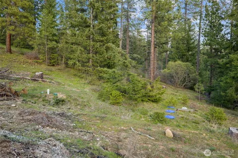 $350,000 | 26 Coralbell (lot 26) Lane, Roslyn, WA 98941