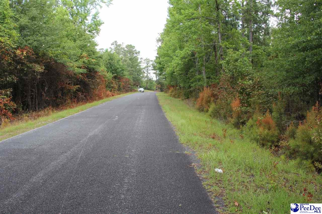 Tbd Lot2 Tbd Lot2 Family Road McBee, SC 29101 - Photo 3 of 3 Gallery Image 3