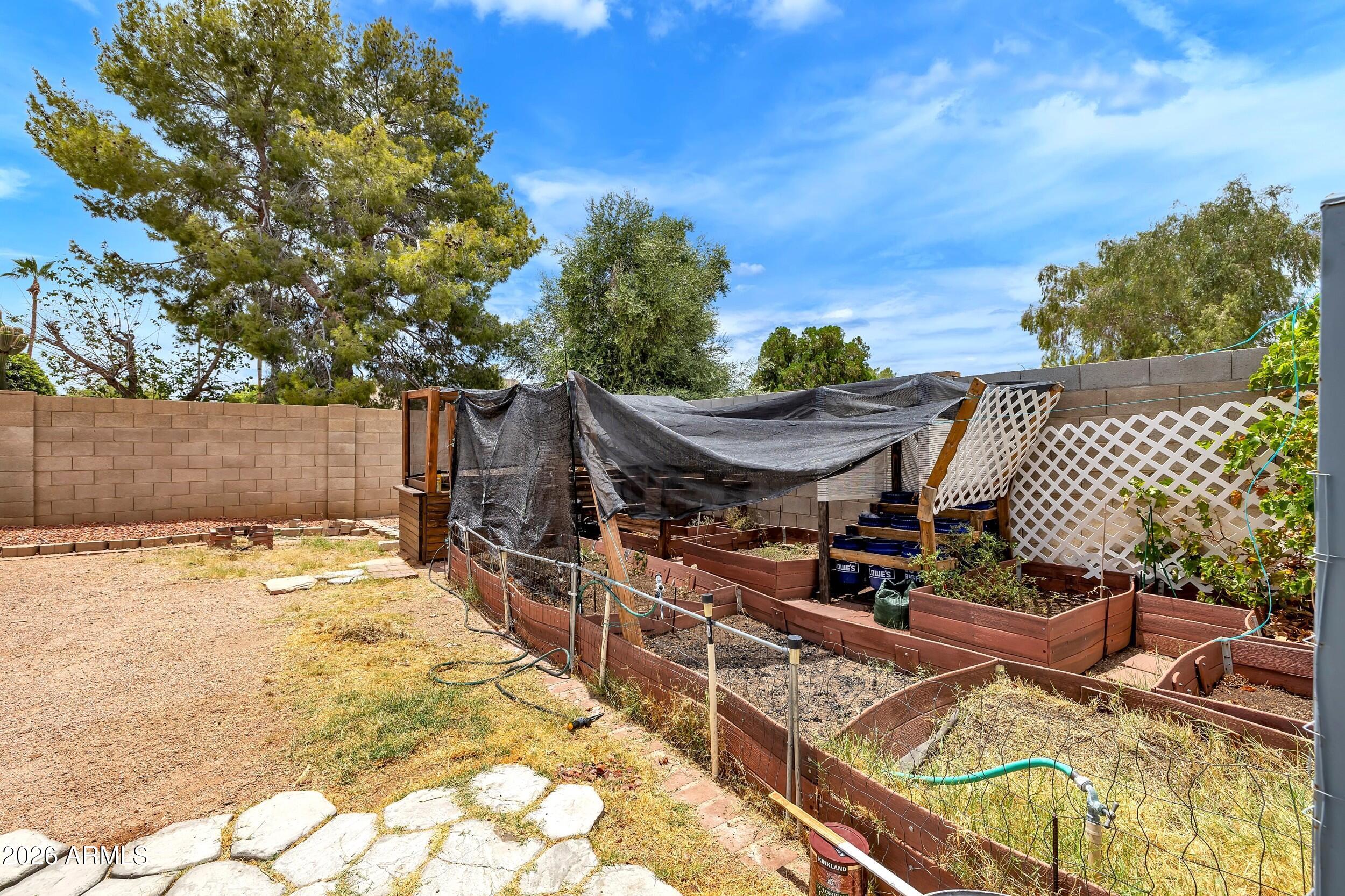 3833 West Phelps Road Phoenix, AZ 85053 - Photo 52 of 55 Raised Garden beds
