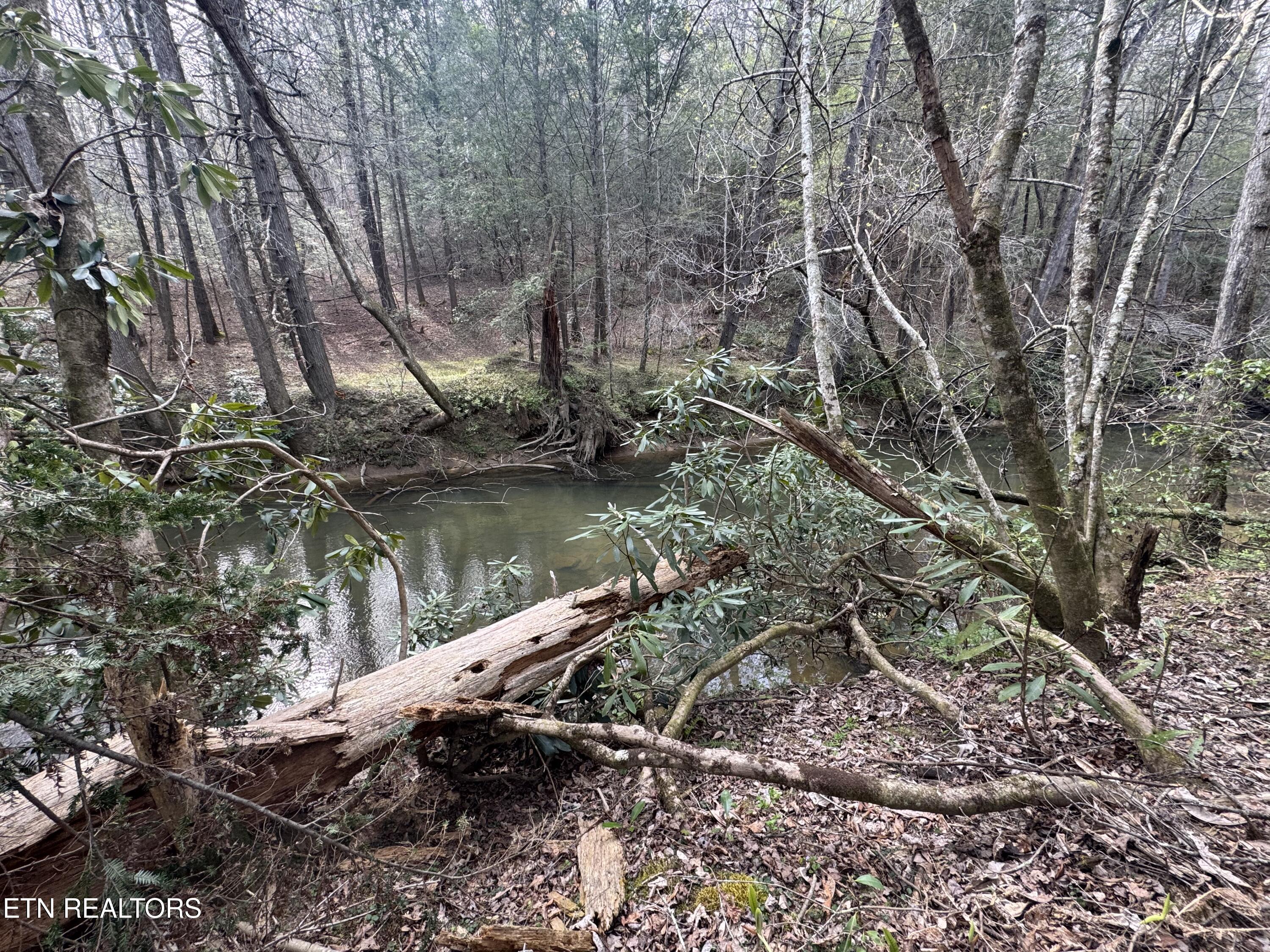 0 Burrville Road Sunbright, TN 37872 - Photo 20 of 28 IMG_3245