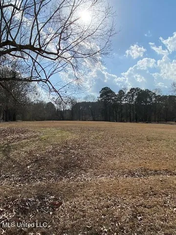 $1,961,141 | Ebenezer Boulevard, Madison, MS 39110