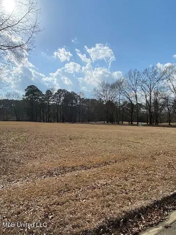 $1,961,141 | Ebenezer Boulevard, Madison, MS 39110