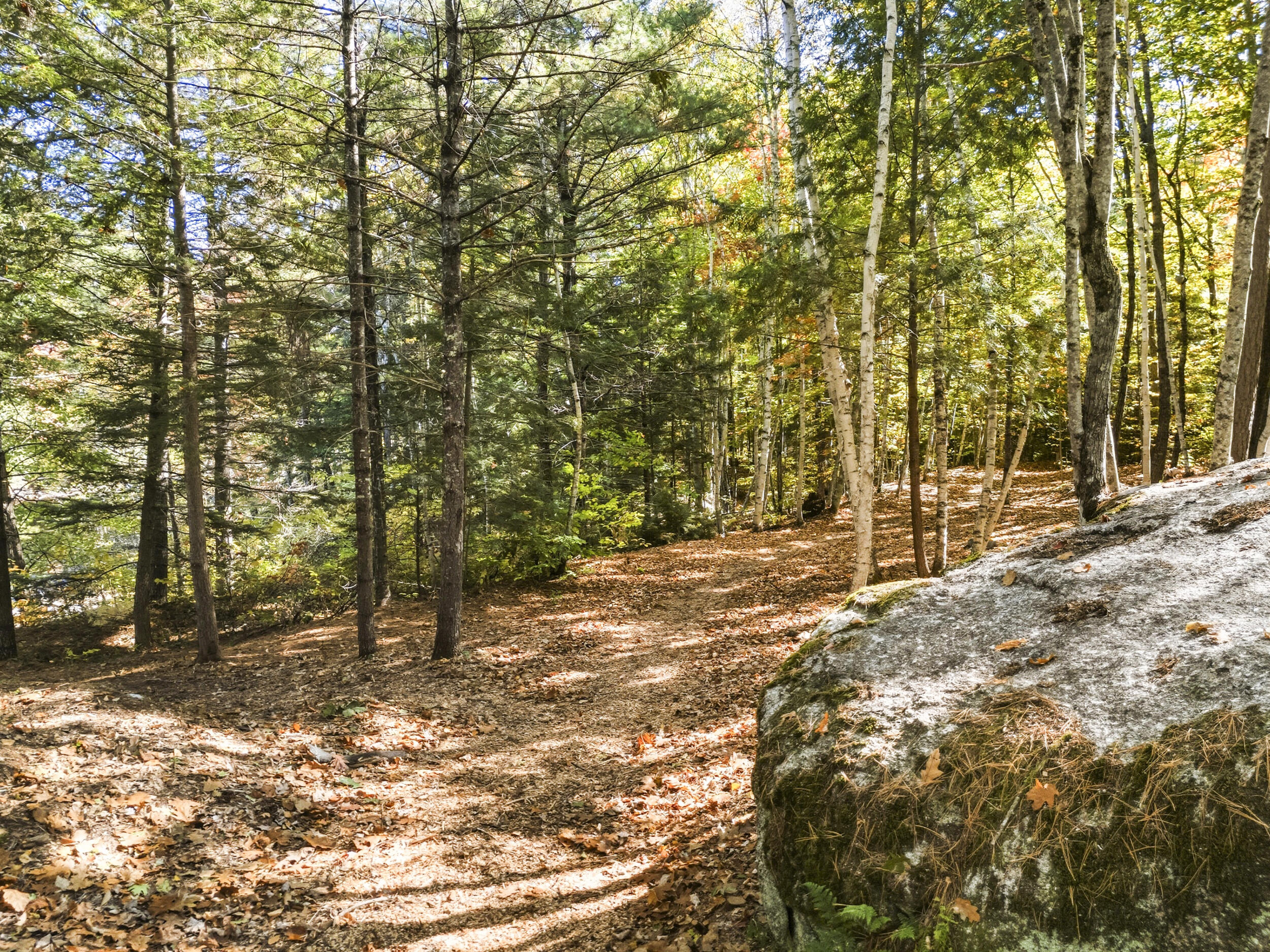 52 North Bridgton Road Waterford, ME 04088 - Photo 73 of 89 Exterior