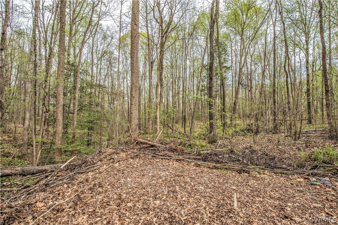 1888 Cook Road Powhatan, VA 23139 - Photo 36 of 42 Gallery Image 36