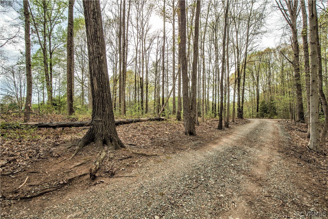 1888 Cook Road Powhatan, VA 23139 - Photo 8 of 42 Gallery Image 8