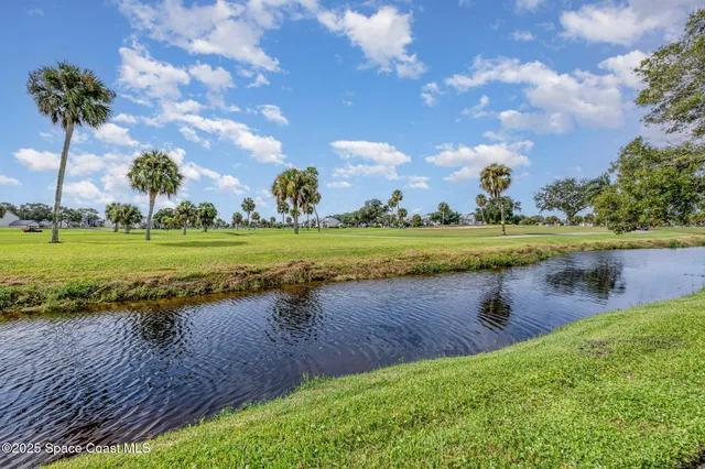 a view of a lake with a big yard and potted plants